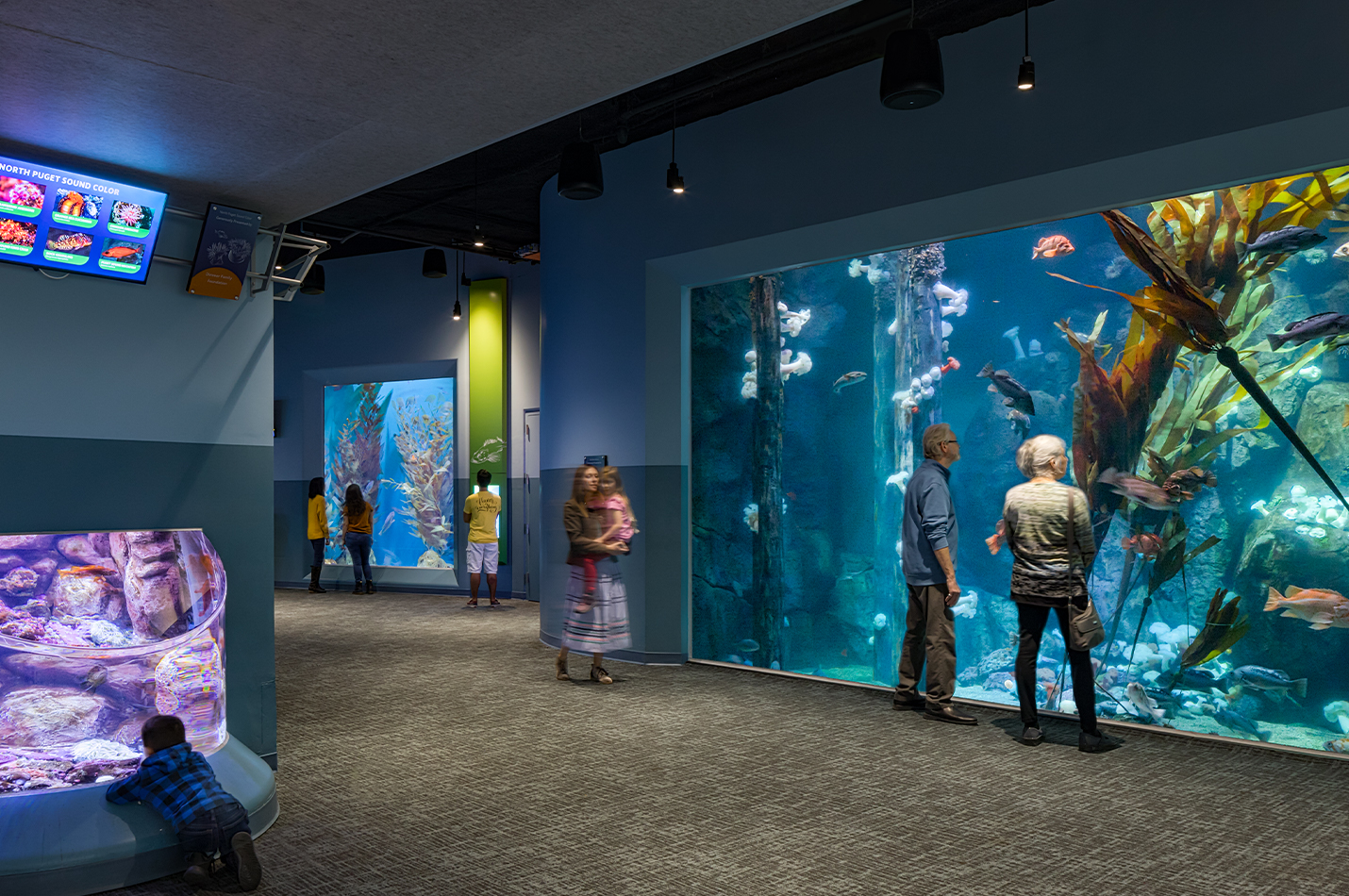 Point Defiance Zoo & Aquarium | PAE