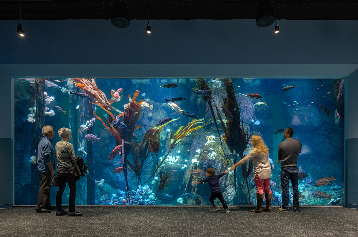 Pacific Seas Aquarium | PAE