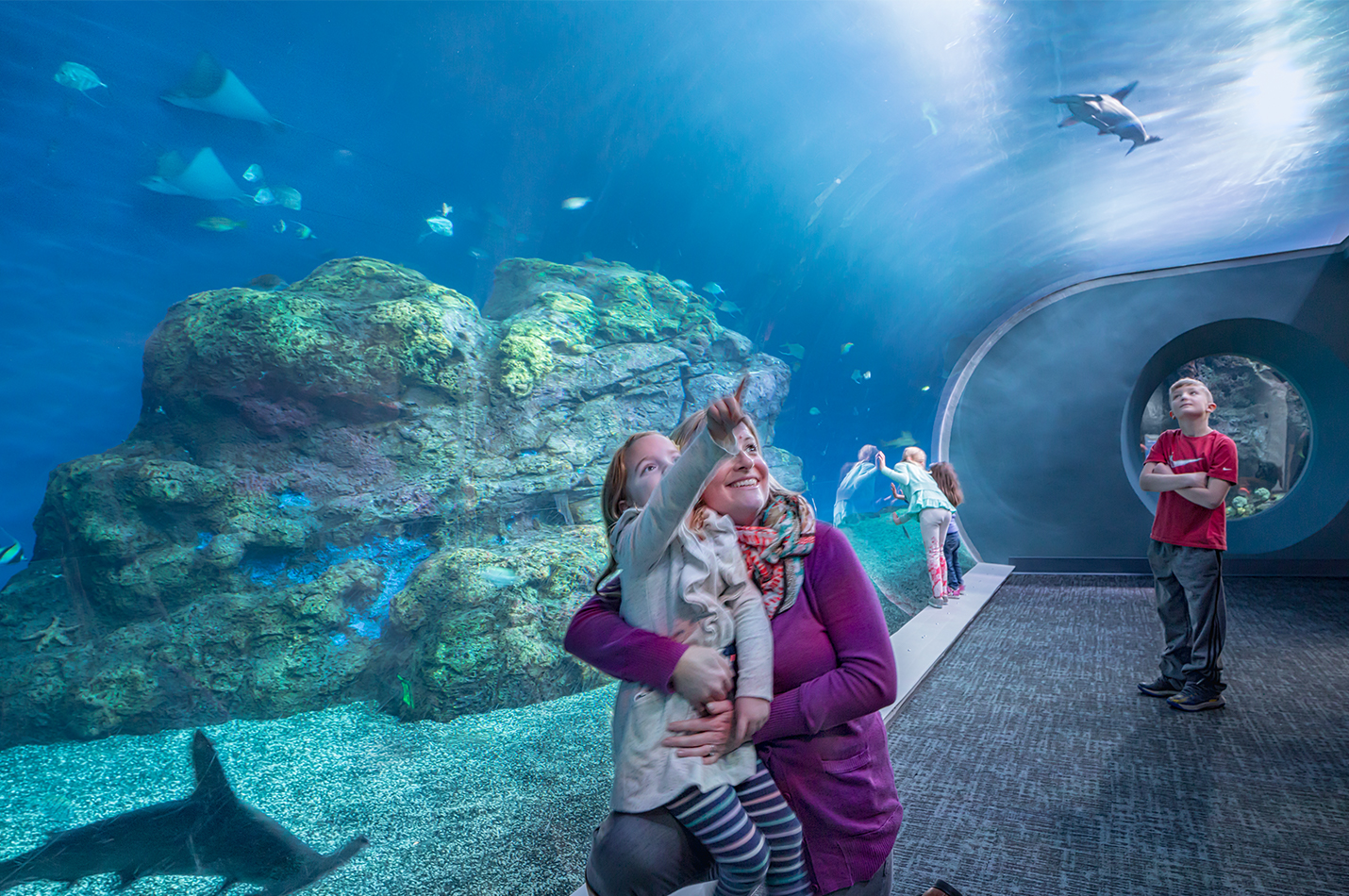 Pacific Seas Aquarium, Point Defiance Zoo & Aquarium. Photo courtesy of Sozinho Imagery.
