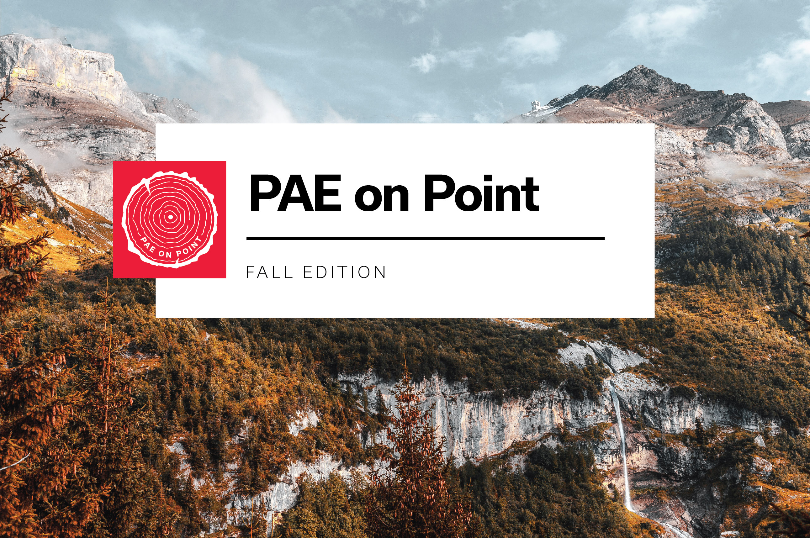 PAE on Point | Fall Edition | Thought Leadership | Justin Stenkamp | Karina Hershberg | David Mead