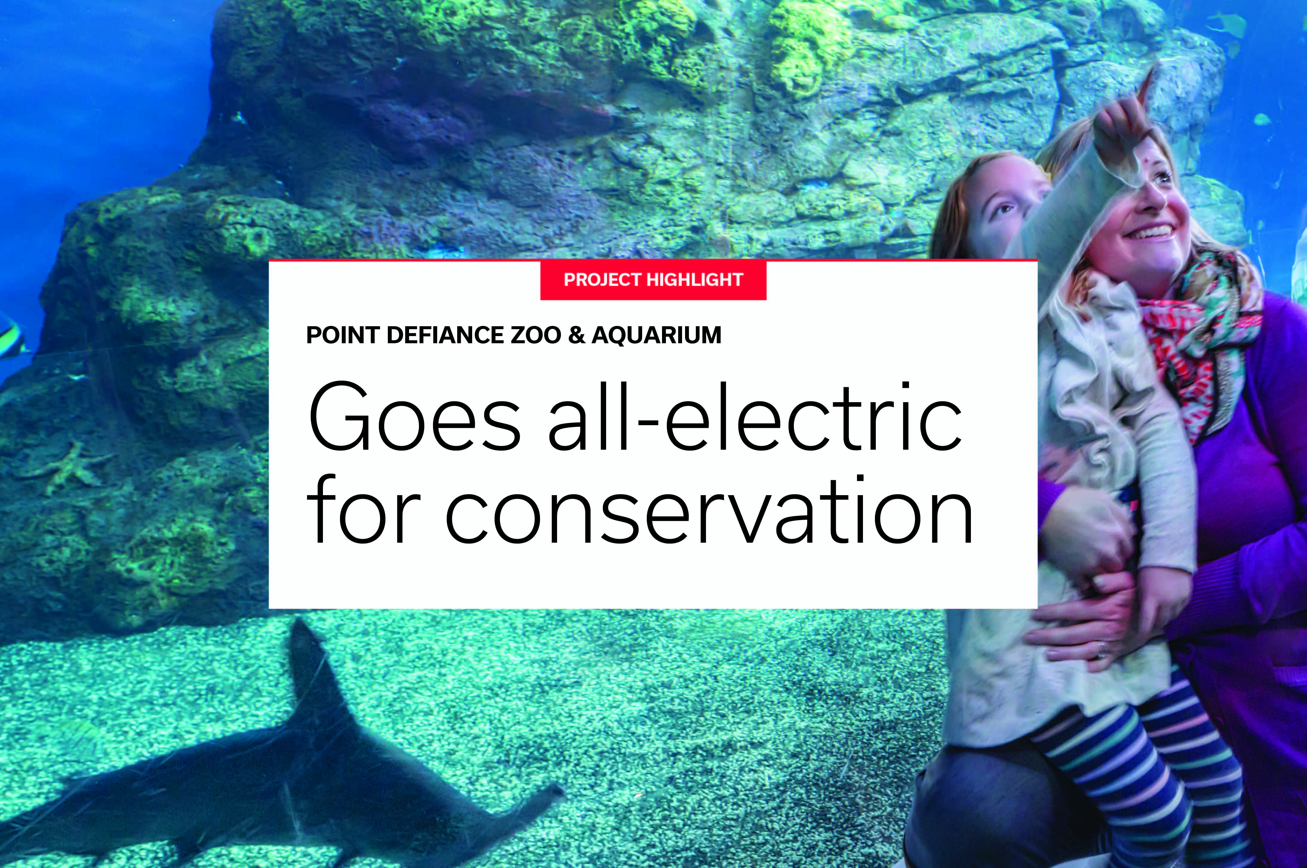 Point Defiance Zoo & Aquarium | All-Electric | PAE 