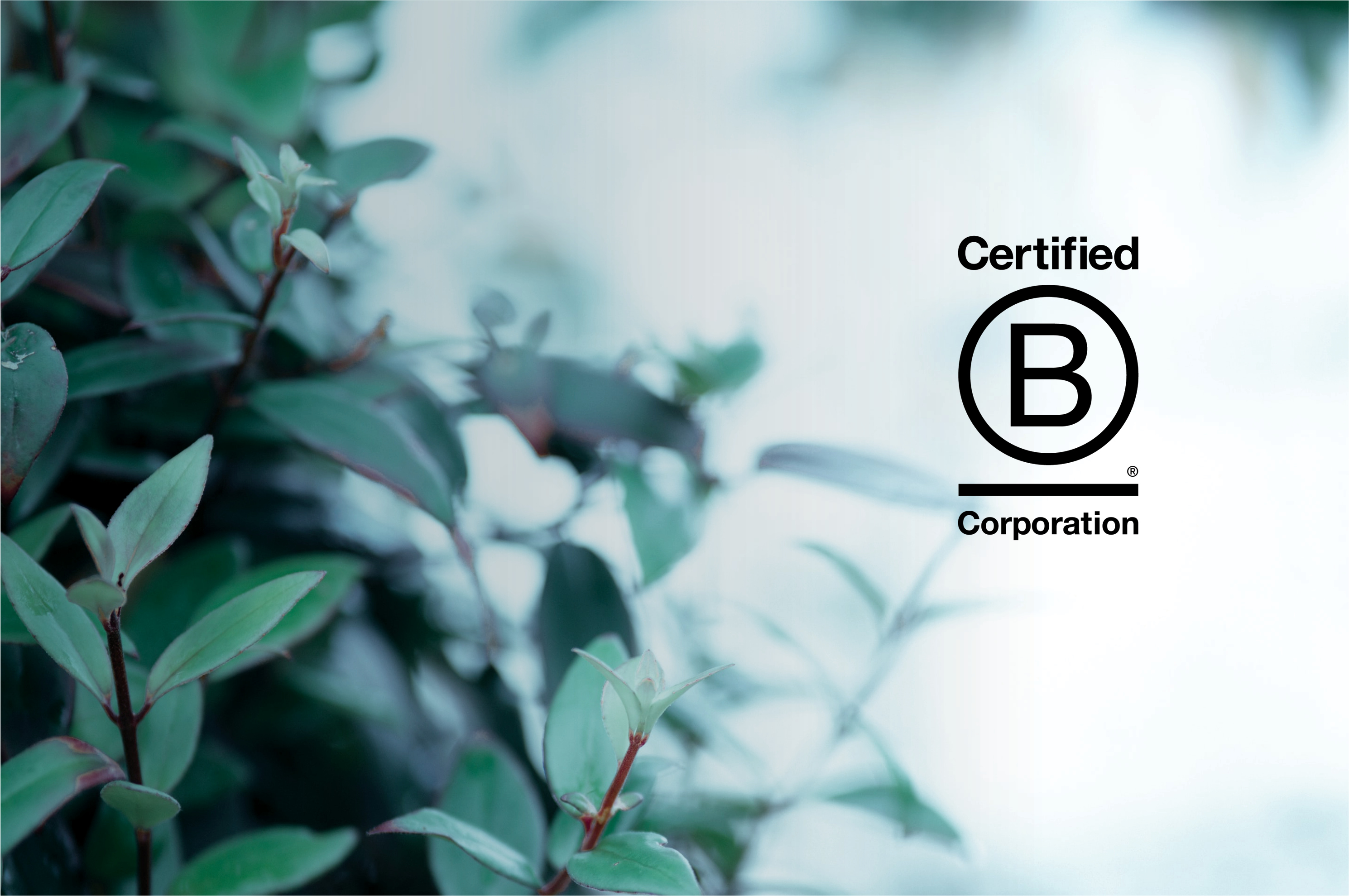 B-Corp Certification | PAE 