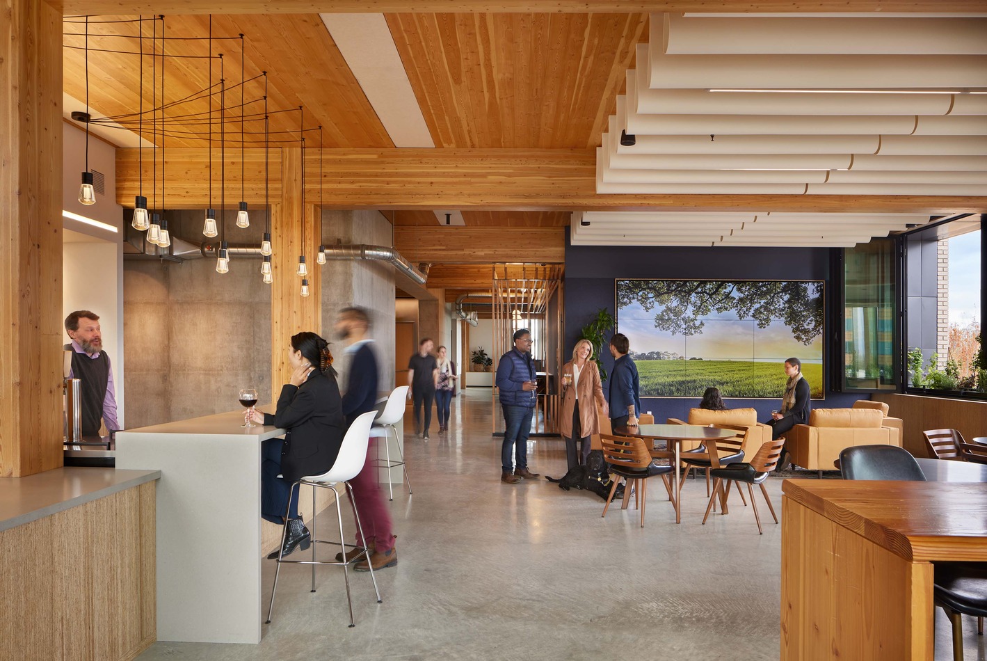 PAE Living Building Deckony