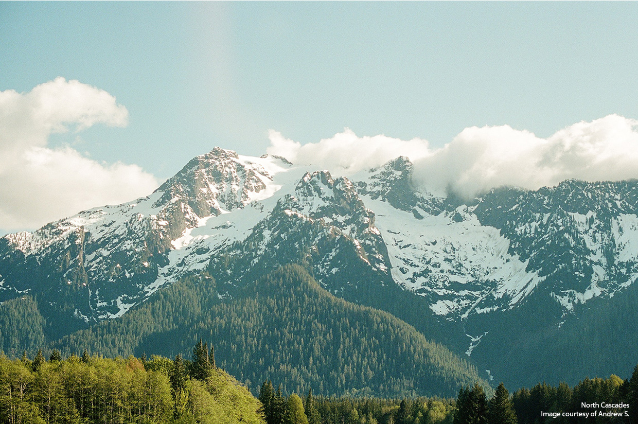 Rainier National Park image | WA Clean Buildings Standard 