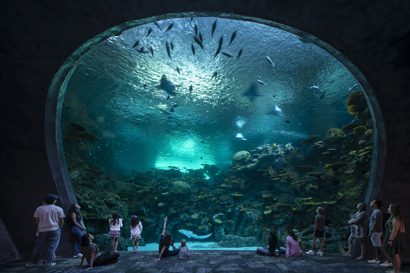 Seattle Aquarium. Image courtesy of Lara Swimmer